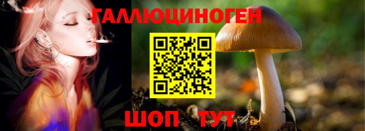 Ульяновск  Галлюциногенные грибы GOLDEN TEACHER  Вход с VPN  Псилоцибиновые грибы ЛСД 